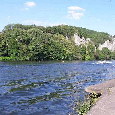 Vue Sur Meuse Lejlighed Profondeville Eksteriør billede
