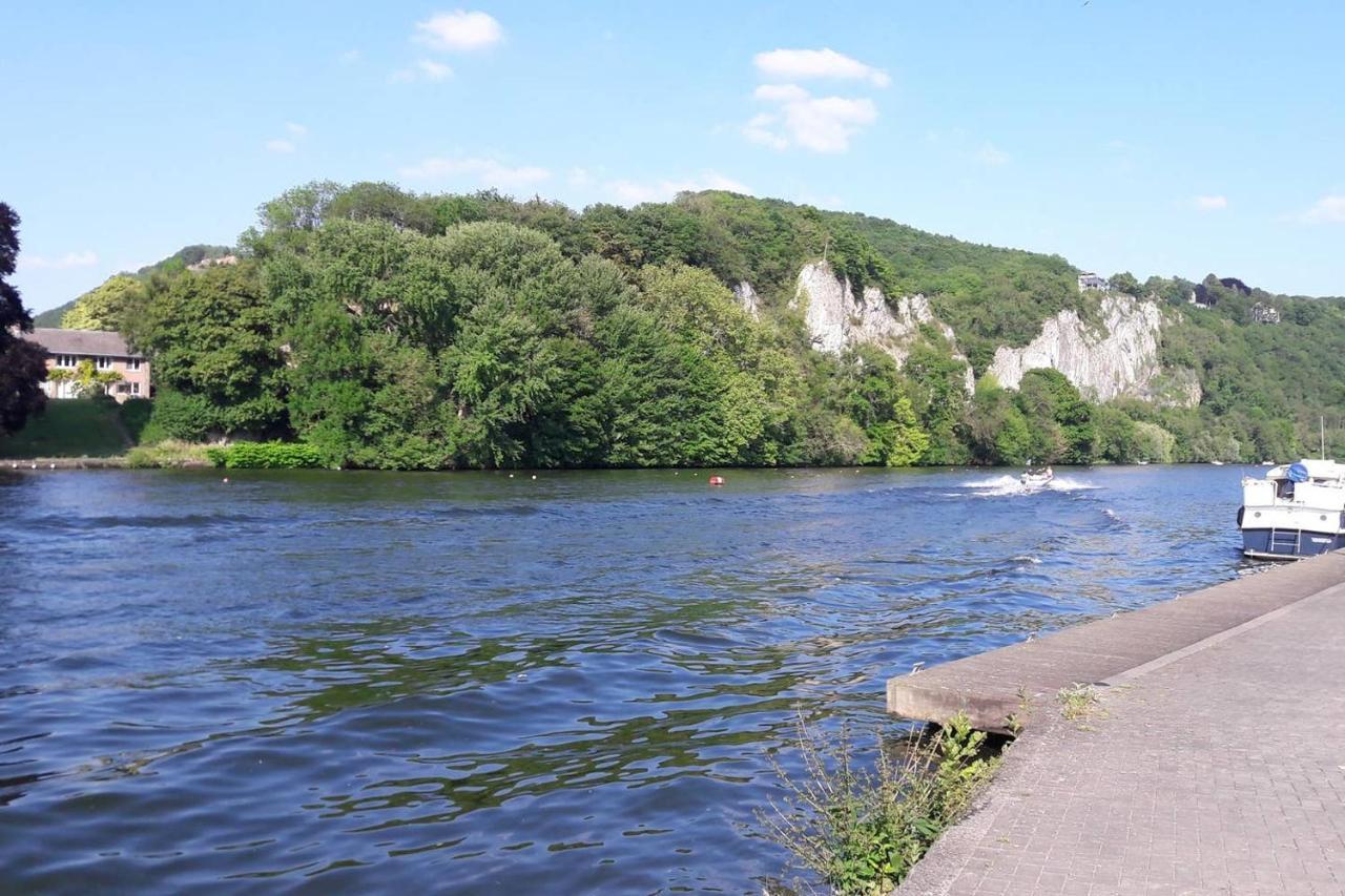 Vue Sur Meuse Lejlighed Profondeville Eksteriør billede