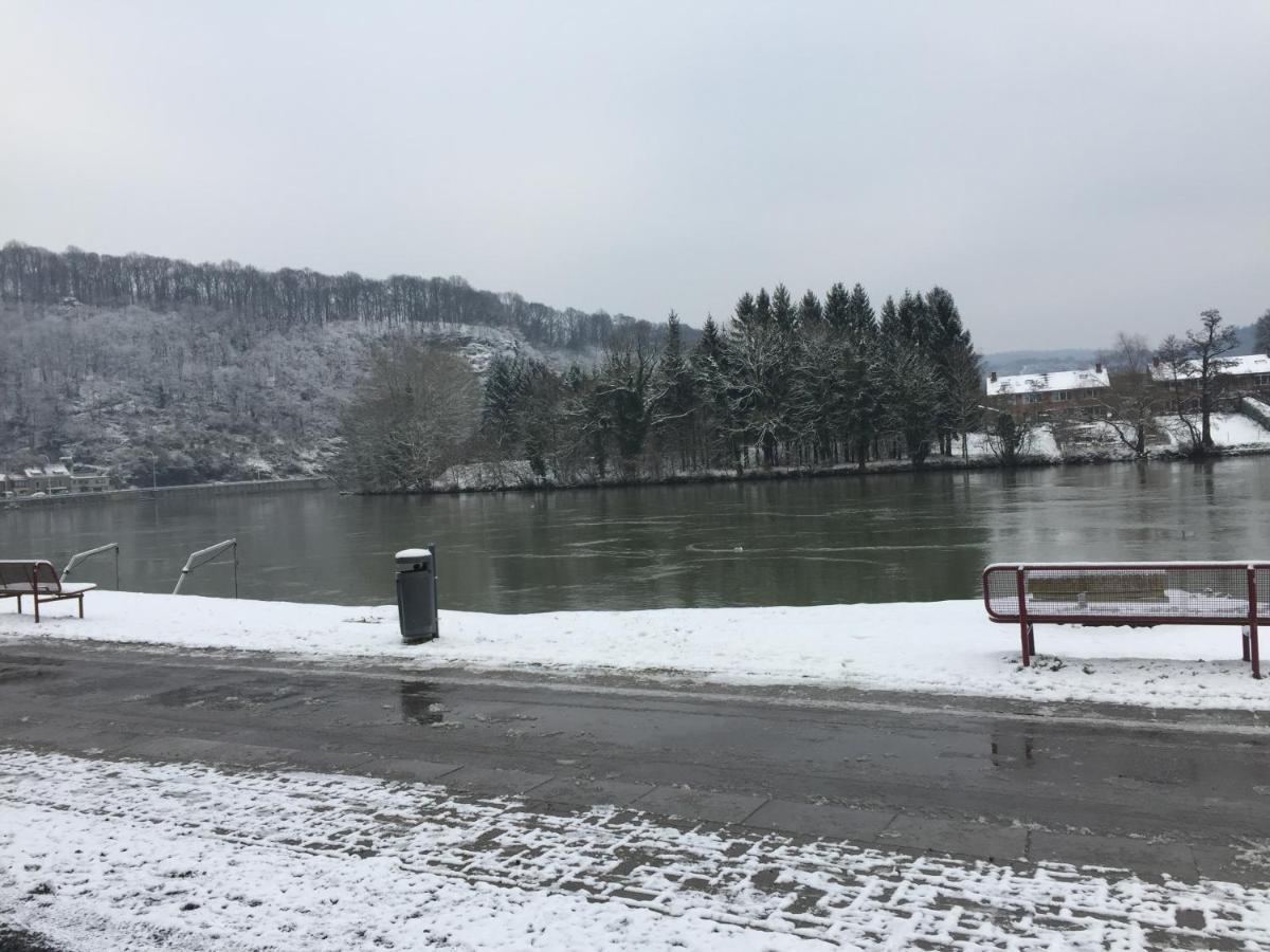 Vue Sur Meuse Lejlighed Profondeville Eksteriør billede