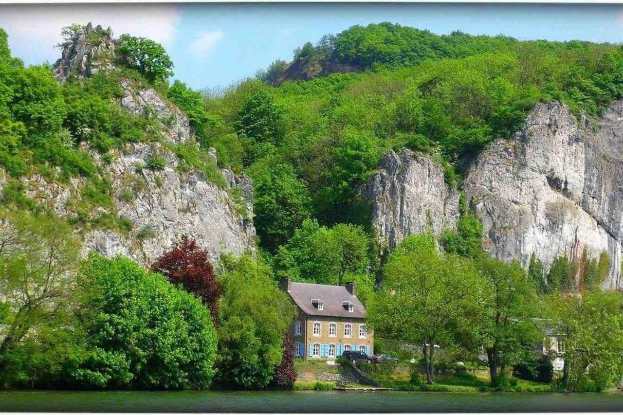 Vue Sur Meuse Lejlighed Profondeville Eksteriør billede
